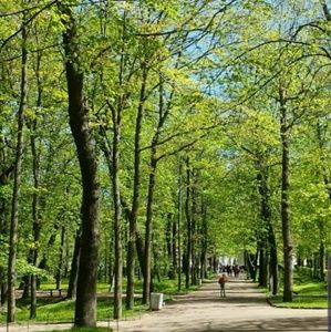 Meet your Posher, Pejman